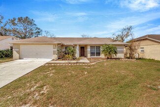 10113 Tarragon Dr, Riverview, FL 33569