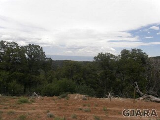 TBD Ladder Creek Unit 14, Glade Park, CO 81523