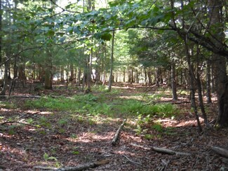 1223 Brush Country Rd, Marlinton, WV 24954