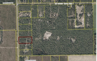 TBD NE County Road 53, Mayo, FL 32066