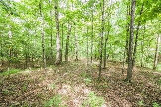 0 Upper Byrnes Mill Rd Unit 23044672, Byrnes Mill, MO 63051
