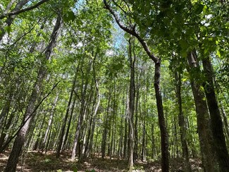 0 Old Highway 5, West Blocton, AL 35184