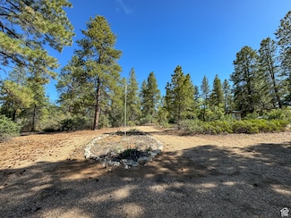 11630 Cedar Rd W Unit 20, Orderville, UT 84758