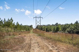 3138 Applewhite Rd, McCall Creek, MS 39647