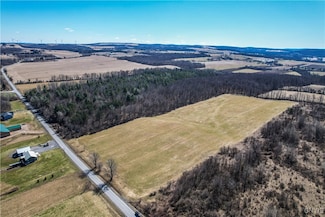 2772 Bear Swamp Rd, Cazenovia, NY 13035