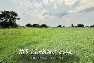 1185 Bluebonnet Ridge Dr, Chappell Hill, TX 77426