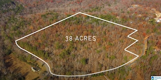 7180 Faucett Cut-Off Rd, Pinson, AL 35126