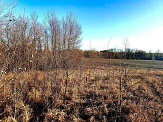 TBD-Parcel 4 160th St, Clitherall, MN 56524
