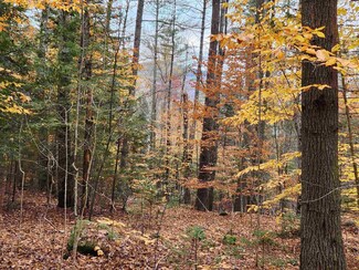 0 Town Rd Unit 4973387, Orford, NH 03777