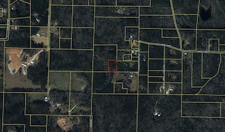 2 Acres Tyner Ln, Defuniak Springs, FL 32435