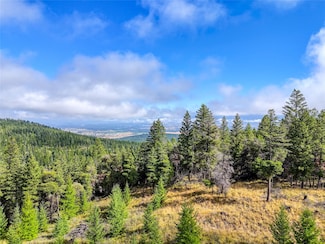 Nhn Buffalo Ln, Somers, MT 59932