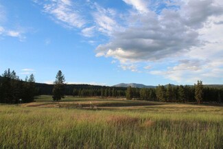8 Fairway Ct, Plains, MT 59859