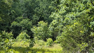 102 Basswood Ln, Horseshoe Bend, AR 72512