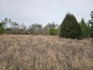 0 Hagler Mill Rd, Louisville, AL 36048