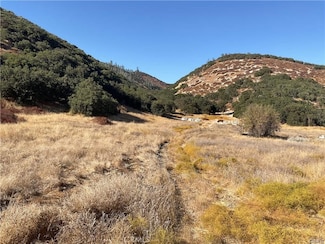 7 Paulsen Rd, Lockwood, CA 93426