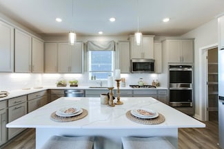 1481 Sophia Dr, Chaska, MN 55318