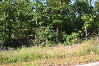 Lot 4 Knifechief Cove, Cabot, AR 72023
