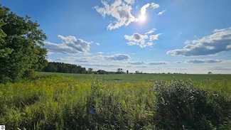 N/A Maple Ridge Rd, Alger, MI 48610