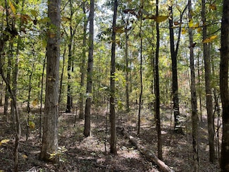 0 County Road 163, Hamilton, AL 35570