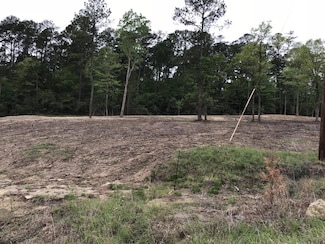 199 Jennifer Ln, South Toledo Bend, TX 75932