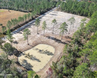 0 Jackson County Line Rd Unit 4099173, Lucedale, MS 39452