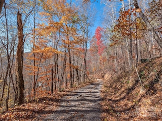 112 & 113 Grouse Rd, Clyde, NC 28721