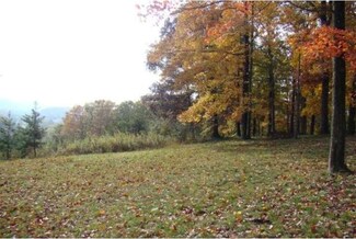 0 High Time Ln Unit 1004199442, Pine Grove Township, PA 17963