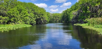 0 Donovan Ave Unit 25203351, Interlachen, FL 32148