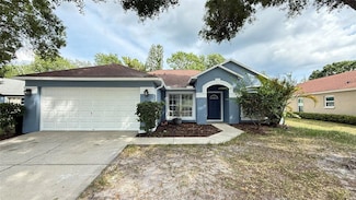 28818 Midnight Star Loop, Wesley Chapel, FL 33543