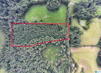 0 County Road 32 Unit 21428567, Double Springs, AL 35553