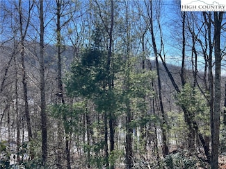 4 Wolf Den Ln, Lenoir, NC 28645