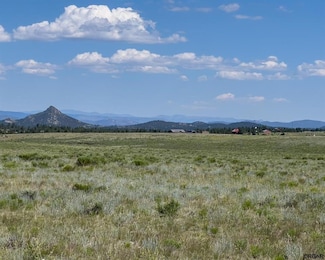 TBD L14 County Road 255, Westcliffe, CO 81252