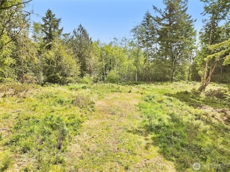 131 E Cascara Cove Ln, Shelton, WA 98584