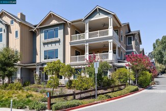 1002 Woodbury Rd Unit 202, Lafayette, CA 94549