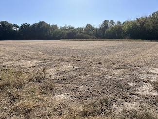 1365 Lot 2 North St, Hollowayville, IL 61356