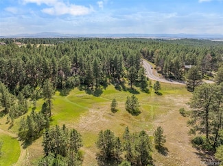 1133 Tomichi Dr, Franktown, CO 80116