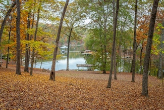N/A Torbett Rd, Spring City, TN 37381