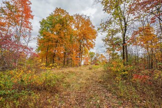 00 Vernon Painter Creek Rd, Pedro, OH 45659
