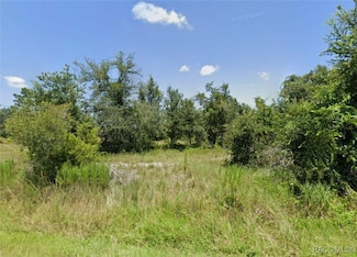 311 Glengary Cir, Punta Gorda, FL 33982