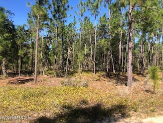 0 Unassigned Location Re Unit 2051798, Hawthorne, FL 32640