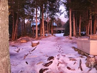 229 Two Lakes Dr, Northfield, ME 04654