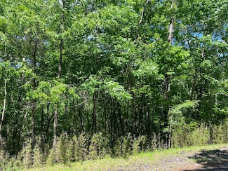 22 S Pine Harbour Dr, Coldspring, TX 77331