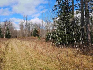 TBD Cataldo Dr Unit Lots 10 & 11, Iron River, MI 49935