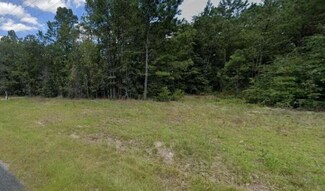 Tbd Baughmanville Rd, Wagener, SC 29164