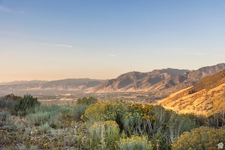 1293 E Fawn Pointe Ct Unit 29, Draper, UT 84020