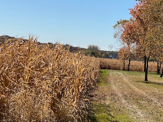 0 Stone Rd, Albany, IL 61230