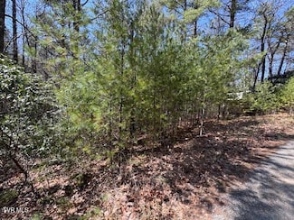 0 Buck Hollow Trail, Sugar Grove, VA 24375