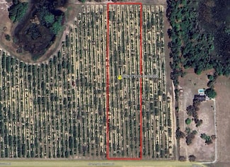 0 Mammoth Grove Rd Unit MFRP4935059, Lake Wales, FL 33898