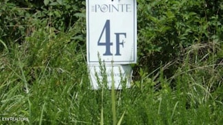 Lot 4F Trout Ln, Hilham, TN 38568