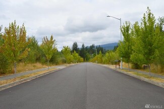 227 Lots 8-4 19th St, Gold Bar, WA 98251